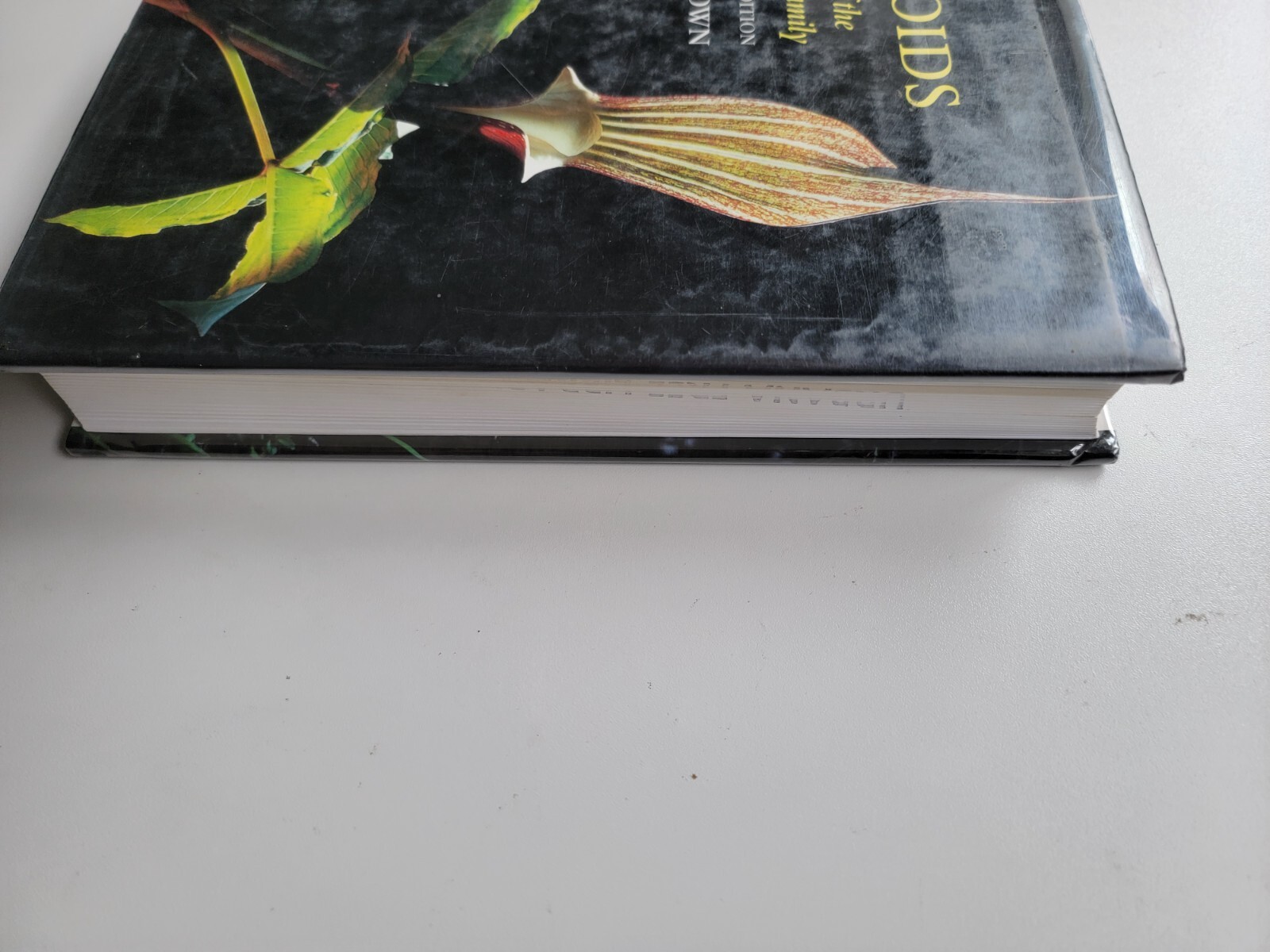 Picture 3 of 8