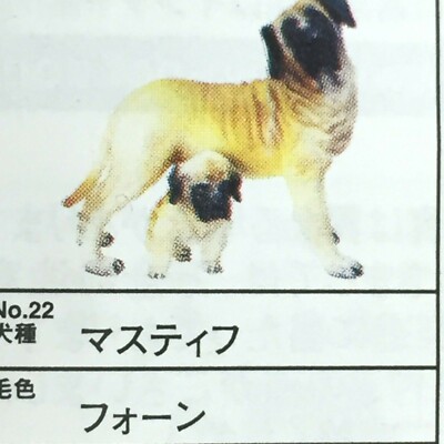 Yujin Dog Gashapon Mini figure 4 Mastiff Fawn import Japan