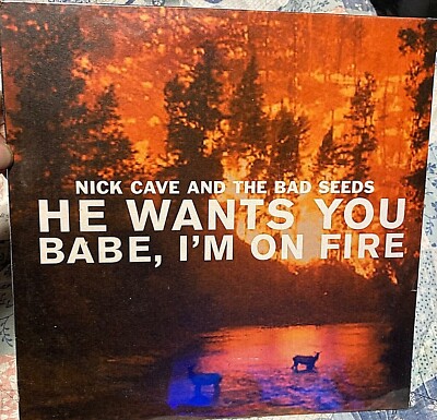 He Wants You Babe I'm on Fire ニック・ケイヴ カテゴリエンタメ/ホビー