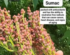 Ground Sumac All Natural 3 Ounces
