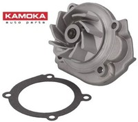 Kamoka T0013 Wasserpumpe Wapu