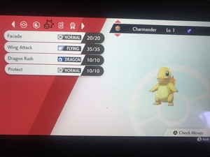 Details About Pokemon Sword Shield Shiny Charmander 6iv Guide