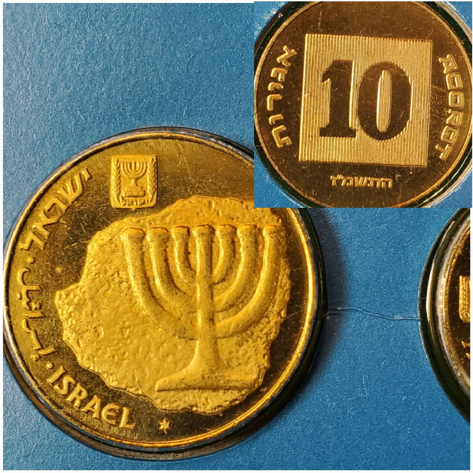 Foto 10 di 12