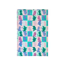 Wicked Glinda & Elphaba Fleece Blanket Bed Throw Soft Coral Children's