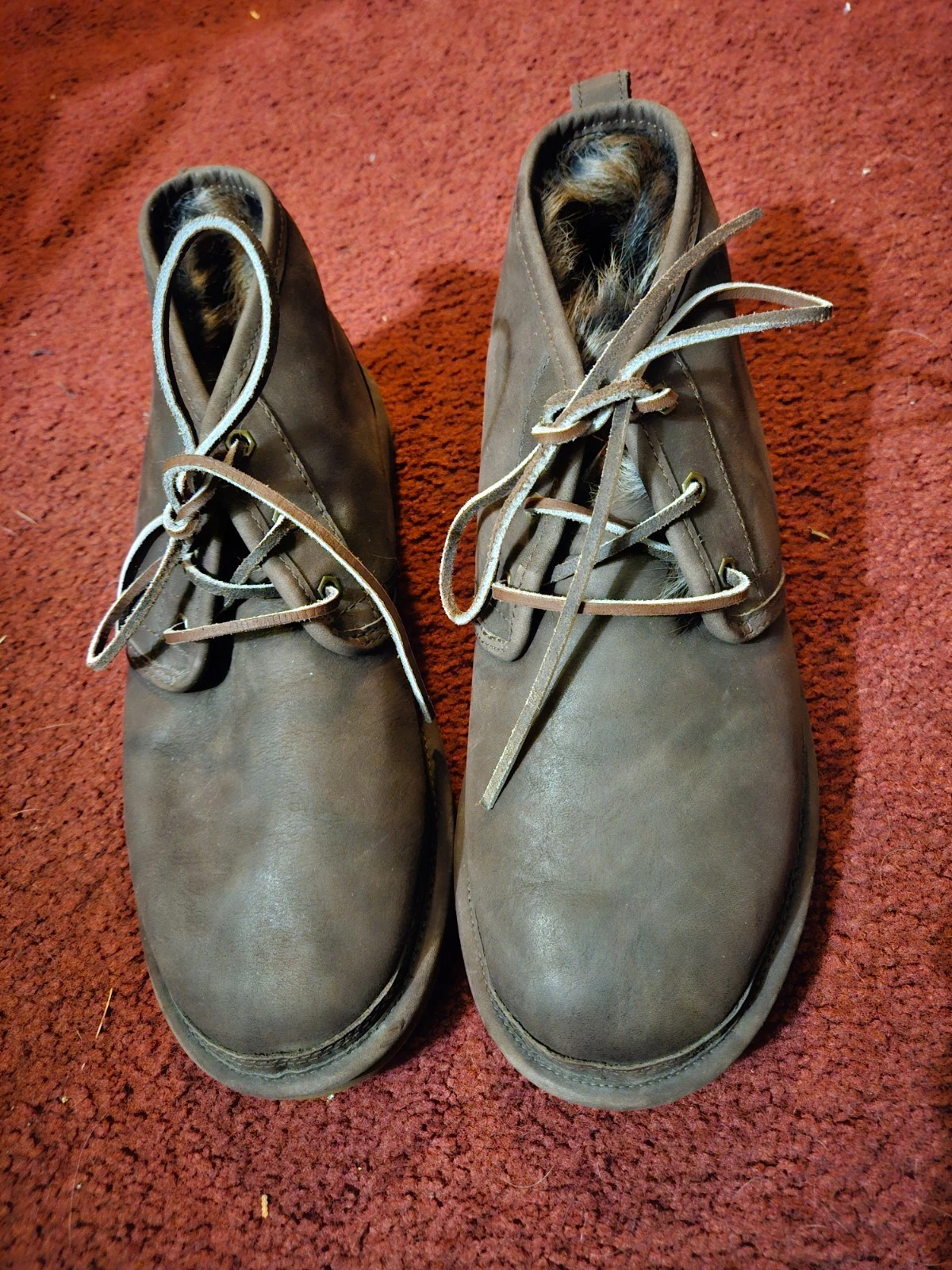 Men's UGG Hiking Boots