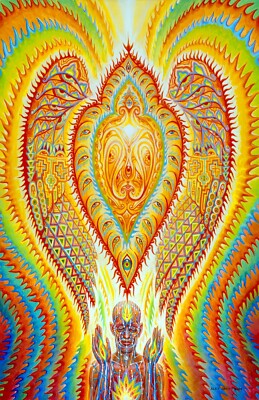 Alex Grey Psychedelic Wall Art Poster Print T229 | eBay