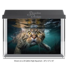 Shocked Scared Tabby Cat Polyester Fish Tank Glass Backdrop Aquarium Background