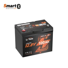 Litime 12V 100Ah Smart Group 24 LiFePO4 Lithium Battery with Bluetooth Function