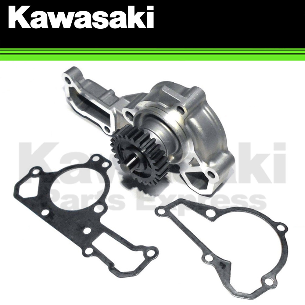 Fabricado para NGAP’s Corporation Used Quanxing MDE Power Steering Pump Assembly - P/N 14
