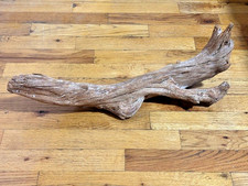 Large Natural Driftwood 21 Inch for Reptile Terrarium Taxidermy