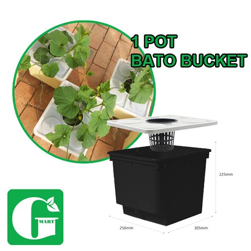 Hydroponics Bato Dutch Bucket & Lid & Net Pot Kit Indoor Growing System - Picture 12 of 13