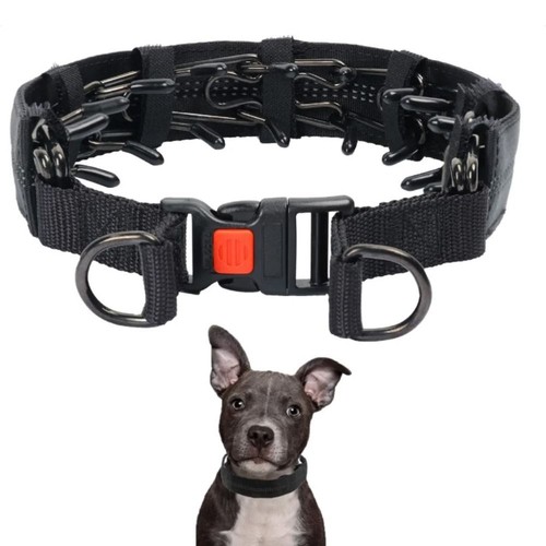 Removable Pet Accessories Dog Prong Pinch Collar Pet Chain Dog Training Collar