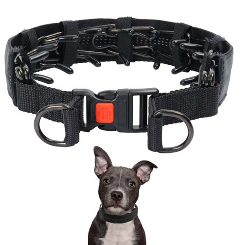 Removable Pet Accessories Dog Prong Pinch Collar Pet Chain Dog Training Collar - Picture 1 of 16