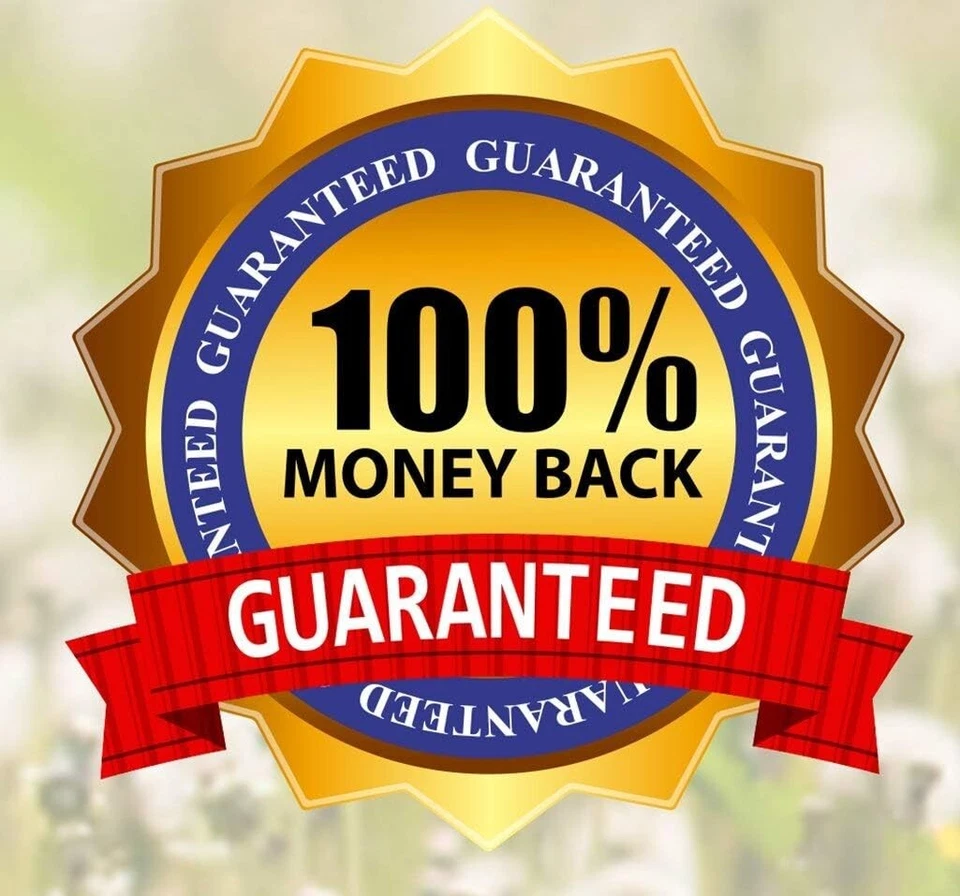 Spray Medicado Para La Sarna Del Perro Spray Antifúngico Mange Dog Hot Spots NEW - Image 2 of 4