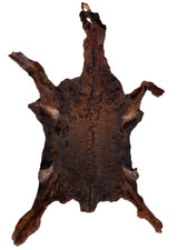 Karakul Persian Lamb Hide, Rust/Copper Color, Very Unique