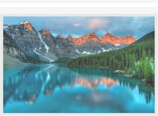 Clear Bags for Art Prints Photos, Acid Free Self Seal Print 11x17, clear