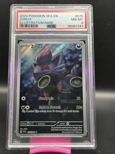 2024 Pokemon Shrouded Fable  ** ZORUA **  Illustration Rare  #75 💎 PSA 8 💎