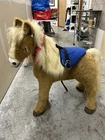 Hasbro FurReal Friends Butterscotch Life-Size Animatronic Plush Pony Horse