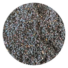 Elderberry Organic Whole Dried - Sambucus Nigra - Premium Wildharvested