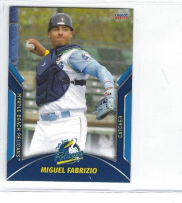 2022 Myrtle Beach Pelicans (Single-A Chicago Cubs) Miguel Fabrizio