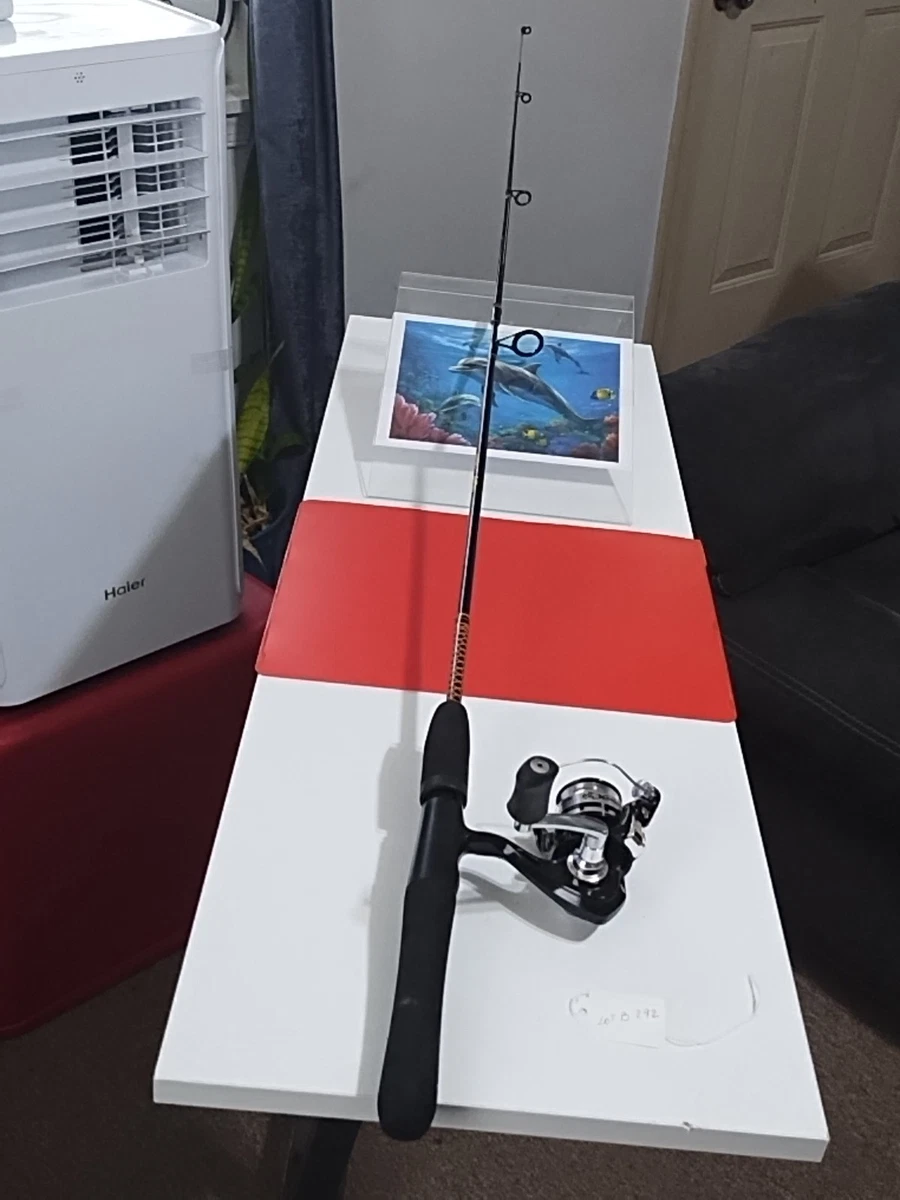 Ugly Stik 灯光钓鱼竿和渔线轮组合| eBay