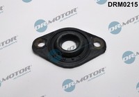 1X Dr.Motor Automotive DRM0215 Dichtung DüSenhalter FüR Opel