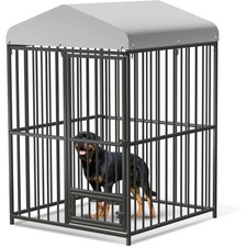 Outdoor Dog Kennel with Roof  Lock, Galvanized Steel Enclosure for Large Dogs