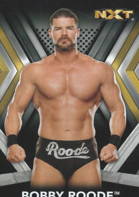 Bobby Roode 2017 WWE NXT Trading Card #9