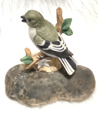 Finch Bird 3  Avian figure on Genuine Petoskey Stone Bits O  Michigan State