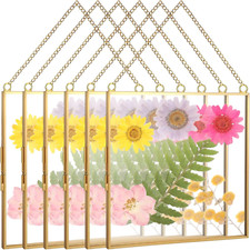 Pressed Flowers Glass Frames 6 X 6 Inch, Hanging Double Glass Picture Frame Clea