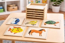 Montessori Lot of 4 Beginner's Wooden Puzzles: Bee-butterfly-owl-snail