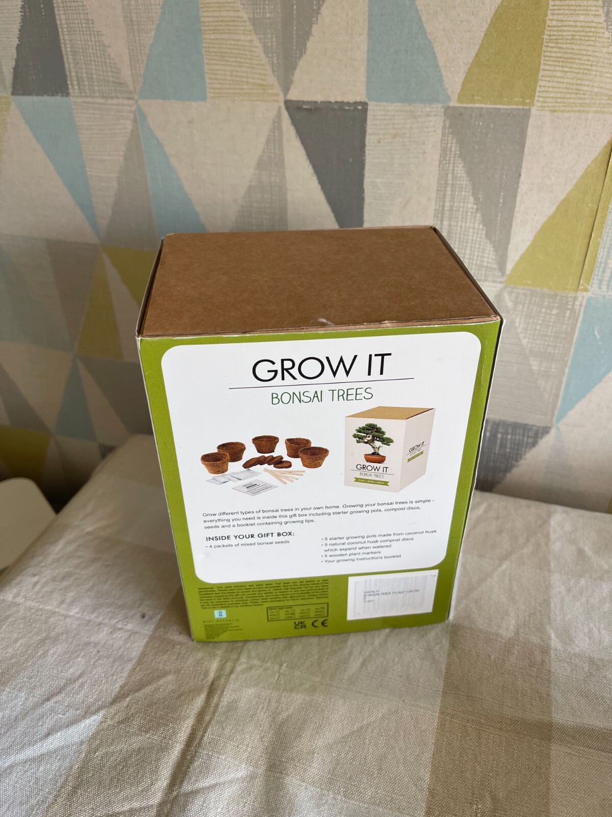 Gift Republic Grow It Yourself Grow Me Kit Bonsai Tree eBay