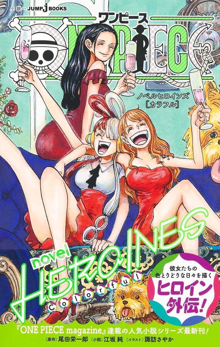 ONE PIECE novel HEROINES ~ 2024 JAPAN | eBay