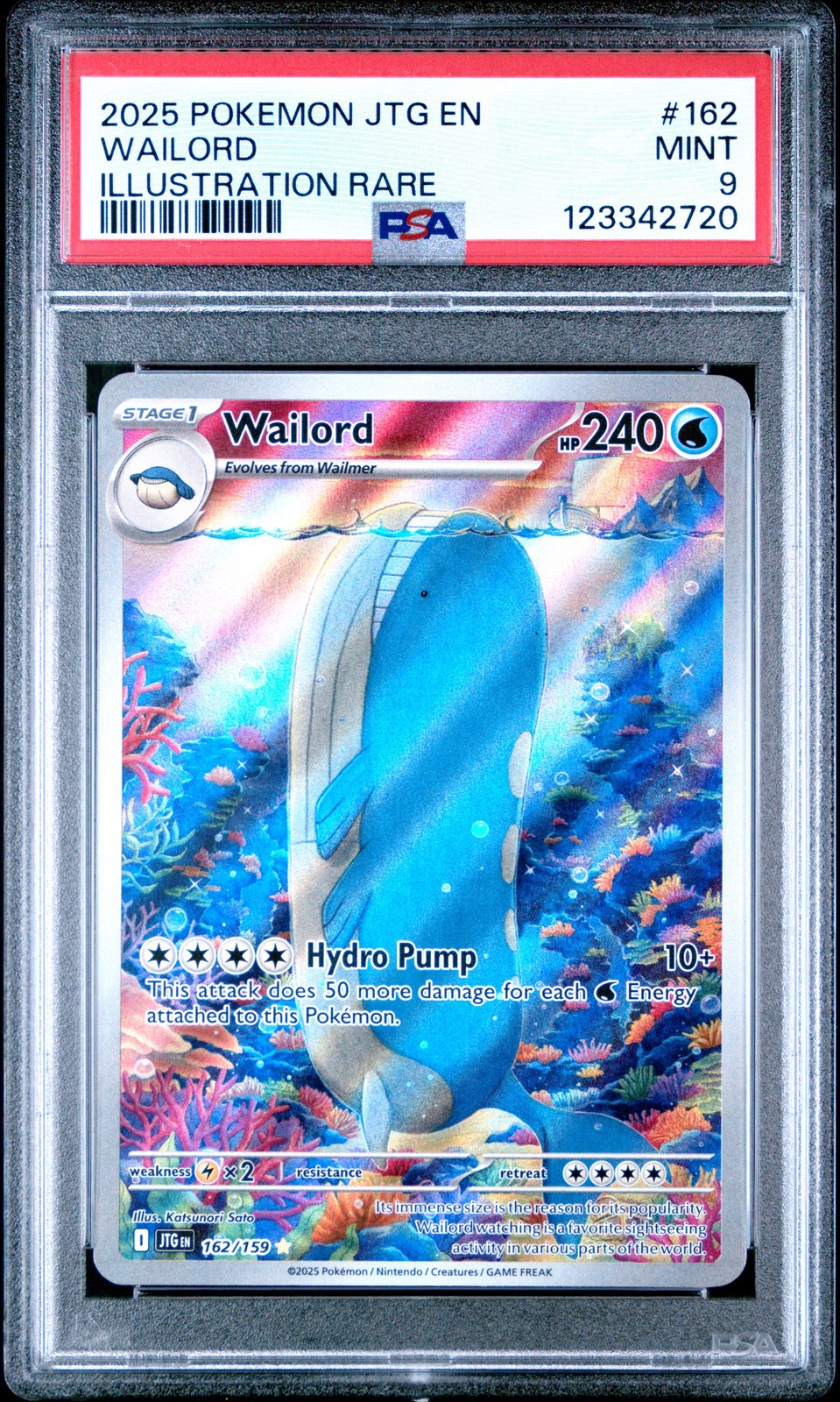 Wailord #162