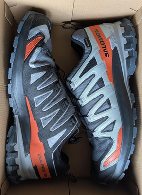 Salomon XA PRO 3D V9 GORE-TEX Grau, Gr EU44/US10, Herren, Hike Trailrunning