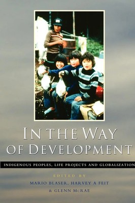 Mario Blaser (u. a.) | In the Way of Development | Taschenbuch | Englisch (2004)