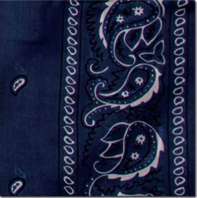 Wild Rags Western Scarves Men Wyoming Traders Solid Cowboy Wild