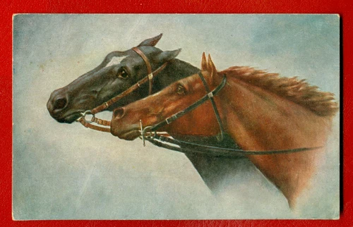 HORSE, ADVERTISEMENT VINTAGE POSTCARD 466