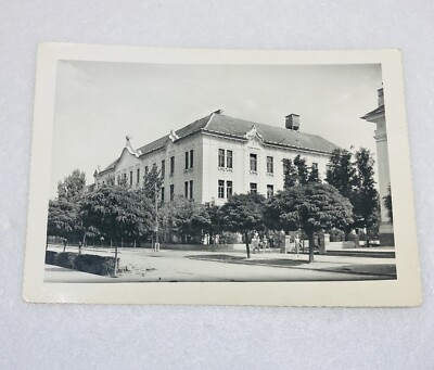 Vintage Postcard Novi Becej Serbia School Government Buidlijg Old Street View P2