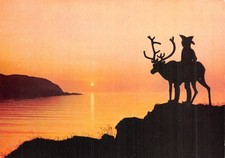NORWAY NORWAY APP WITH HIS REINDEER IN THE MIDNIGHT SUN