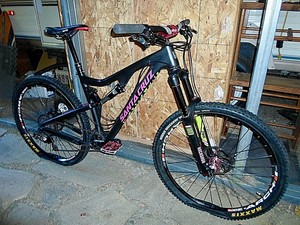 santa cruz bronson ebay