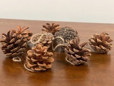 New Rustic Natural Pine cone Ornaments set of 8 2.5 inch average size