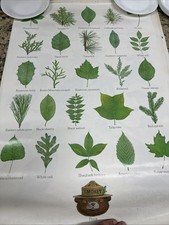 Vintage 1980s Smokey Bear US Forest Service Educational Posters - Lot Of 4