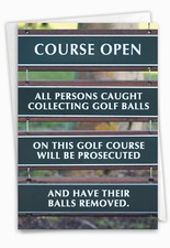 1 Funny Birthday Greeting Card - Bday Golf Balls Removed - w/ Envelope, US-Made