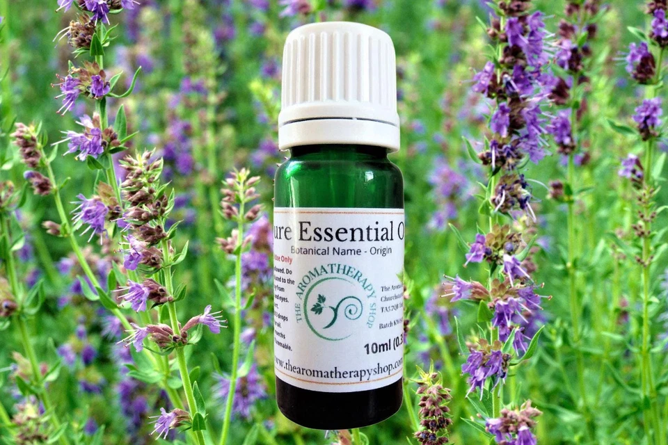 THE AROMATHERAPY SHOP LTD Hyssop Pure Essential Oil