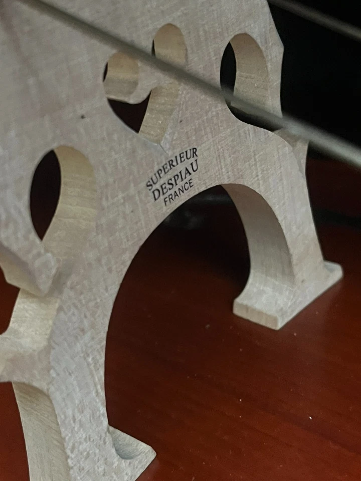 Violonchelo Samuel Eastman VC95 4/4 2018 con puente Despiau y arco - listo Foto 2 de 4