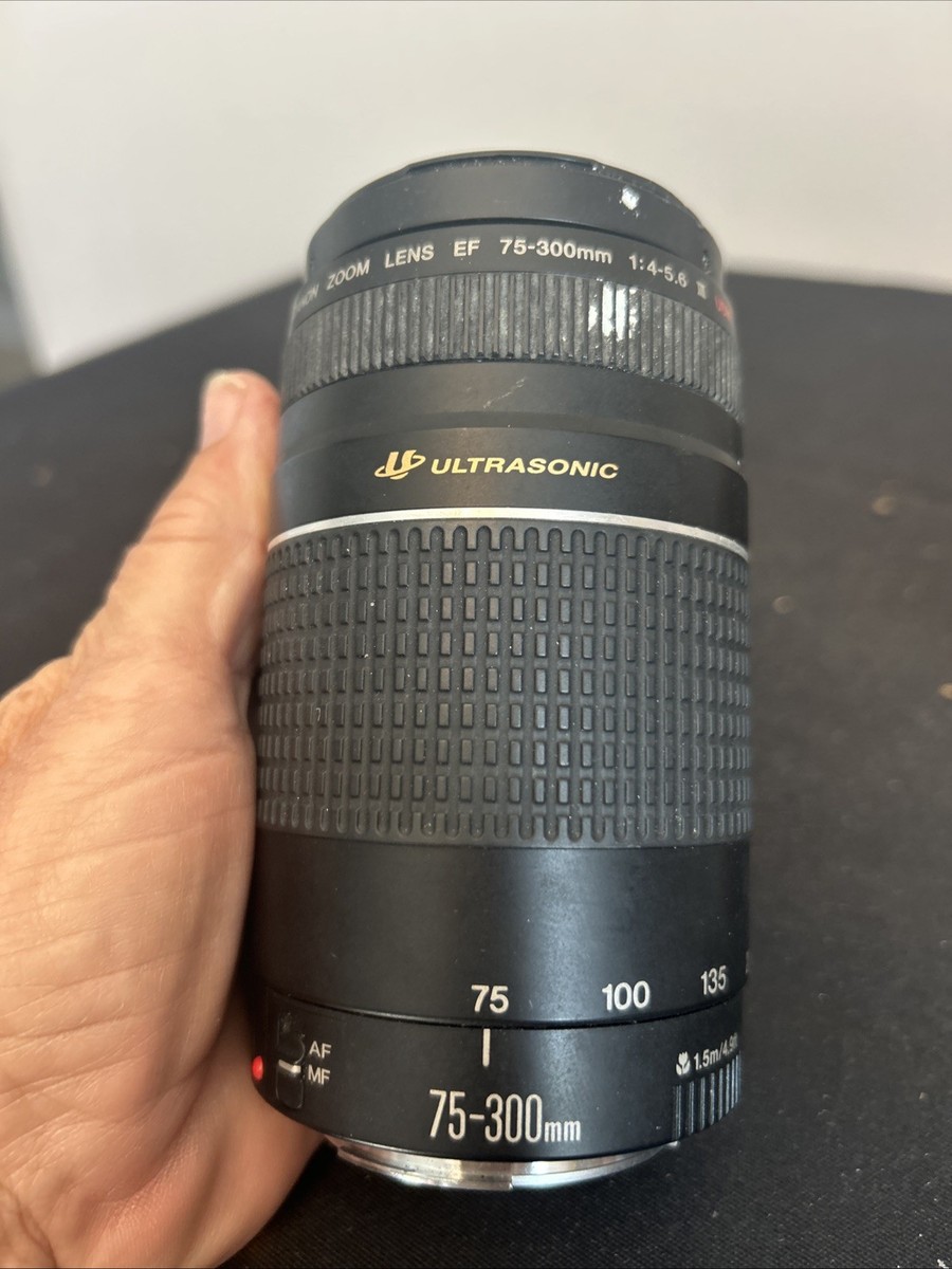 Buy Canon EF 75-300mm f/4.0-5.6 IS USM Lens online | eBay