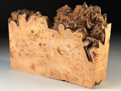 Maser Ulme Live Edge Drechselholz Harz gehender Gauner Rohlinge 9x7x2 Zoll 1,3 KG