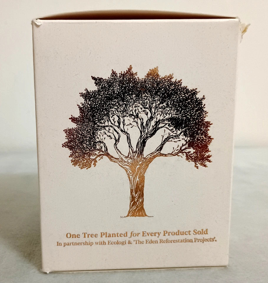 Osmology Nordic Cedar Scented Candle 9.8oz Pure Soy Vegan - Image 2 of 4