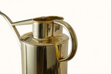 Shanrya Gießkanne Aus Edelstahl & Messing - Retro-Design Mit Langem Auslauf, 1,3 Liter